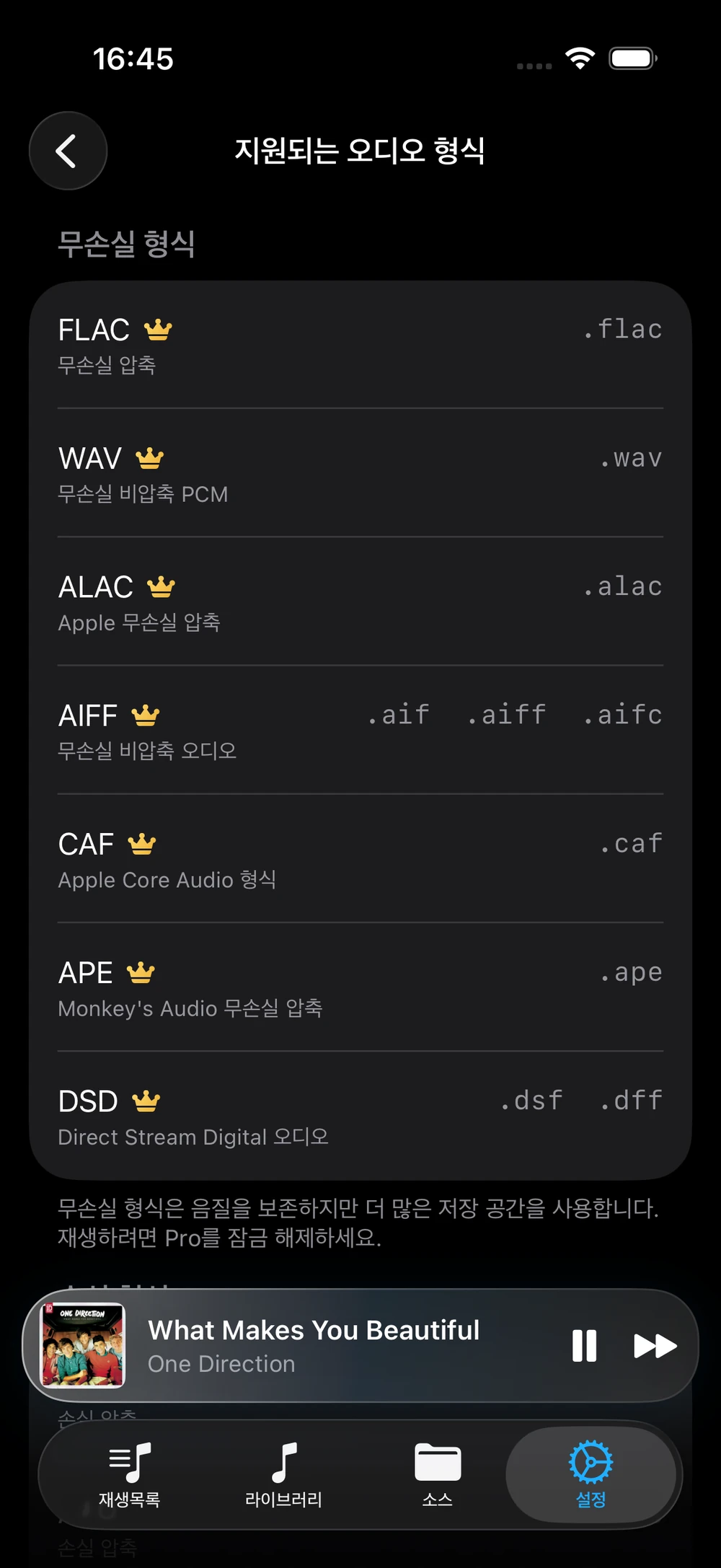 FLAC, APE, DSD를 포함해 NetMusic이 지원하는 오디오 형식