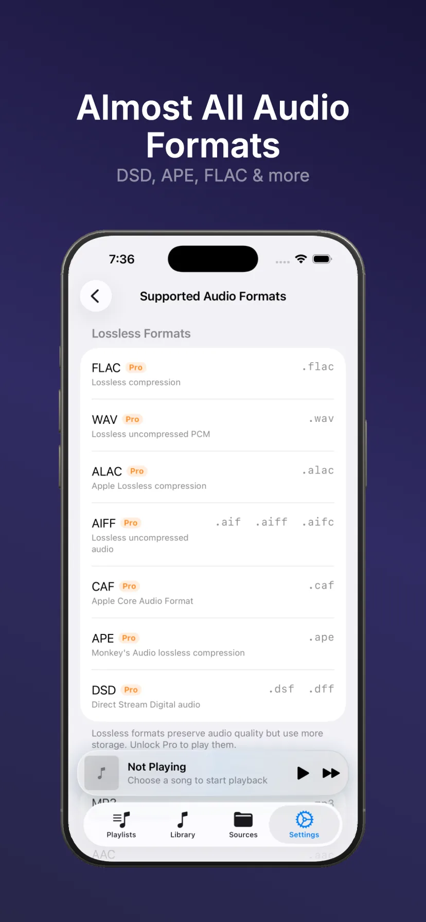 NetMusic Supported Audio Formats page showing FLAC and DSD on iPhone