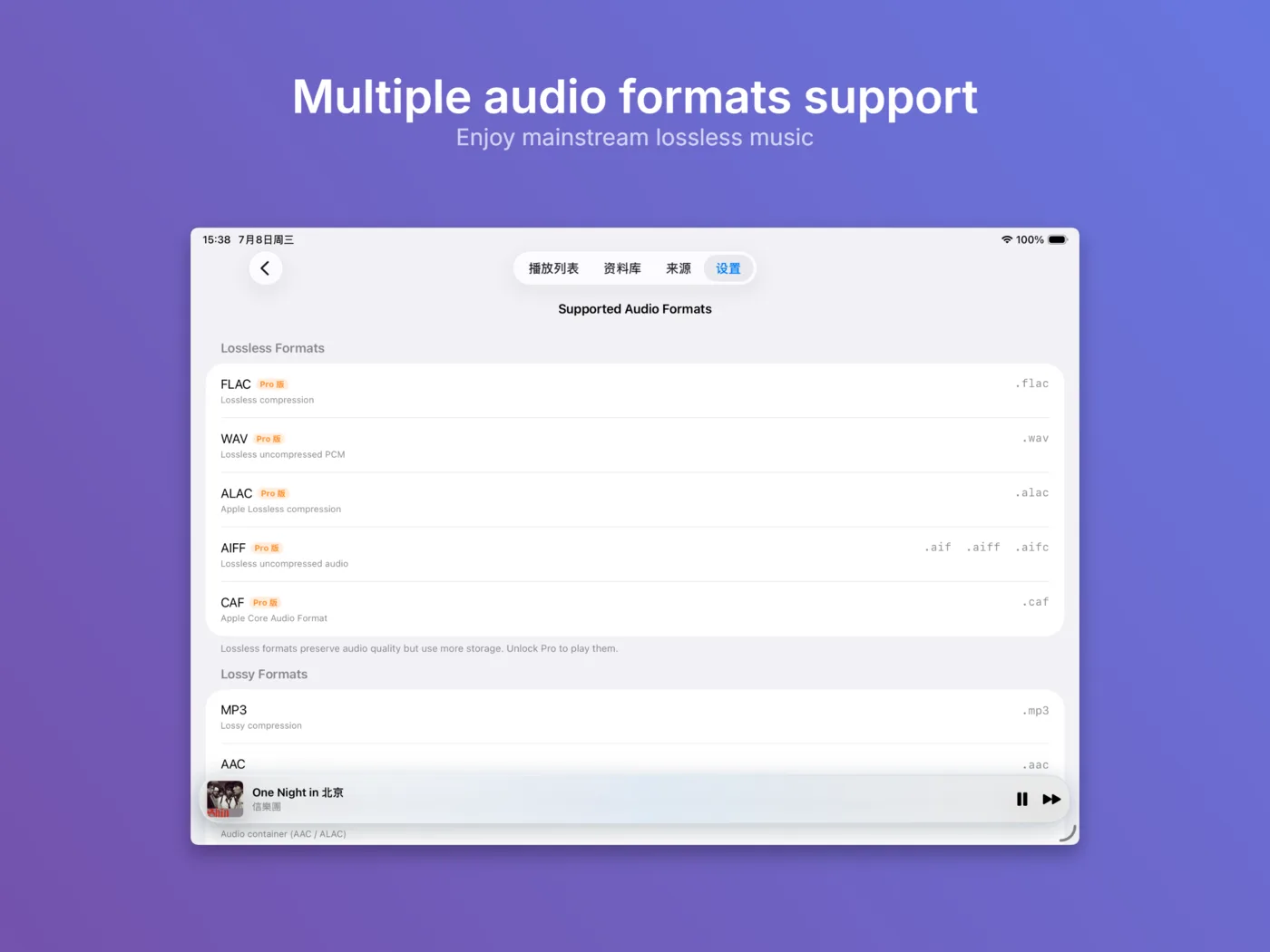Lossless audio format support in NetMusic for iPad