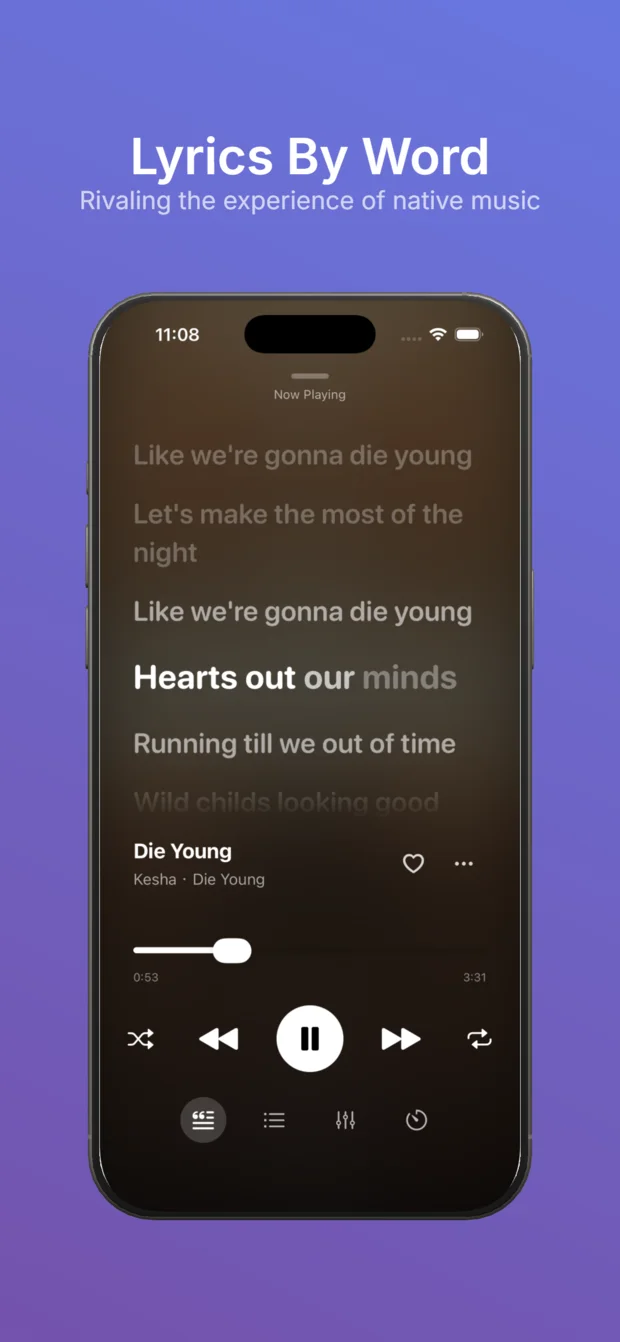 NetMusic word-synced lyrics player on iPhone