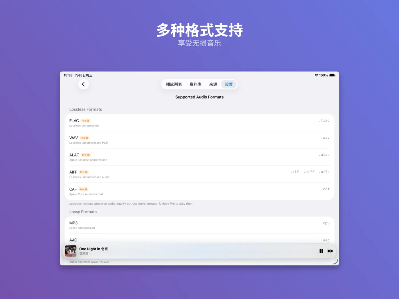 iPad 上的云听音乐多格式支持